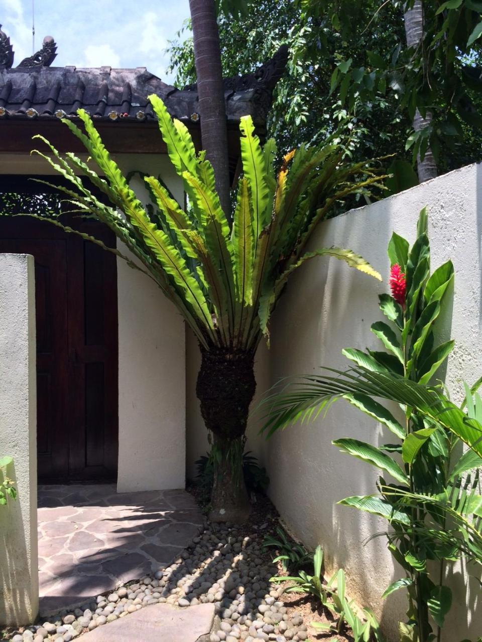 Villa Bulan Mas Ubud  Exterior photo